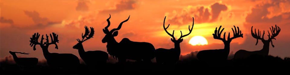 Whitetail Deer For Sale - Summit Whitetails and Exotics